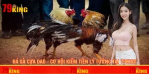 đá gà cựa dao