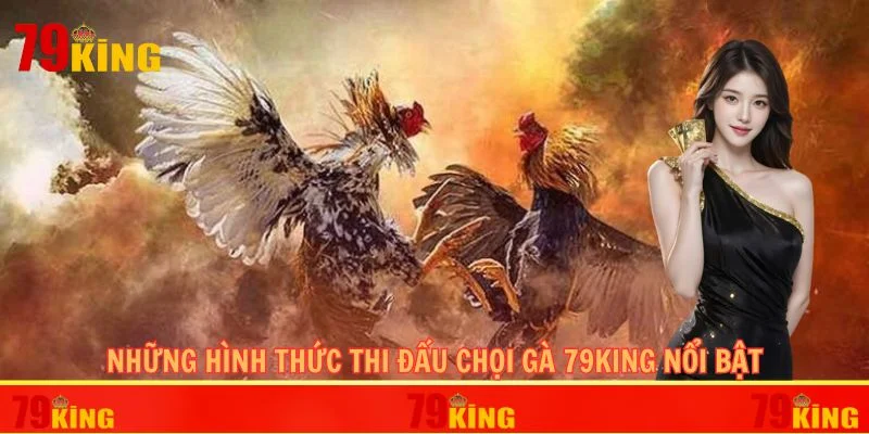 Những hình thức thi đấu chọi gà 79KING nổi bật