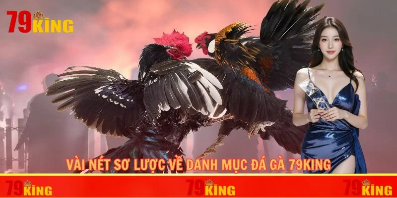 Vài nét sơ lược về danh mục đá gà 79KING